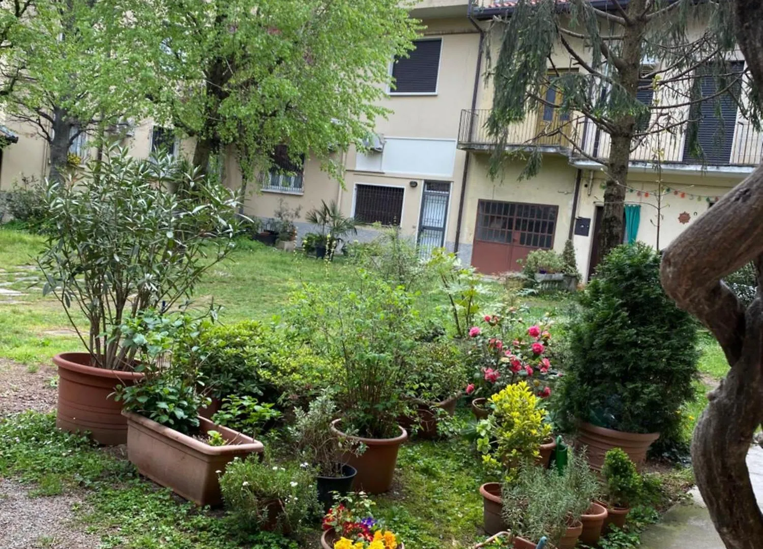 Leo&Franci Apartman Legnano